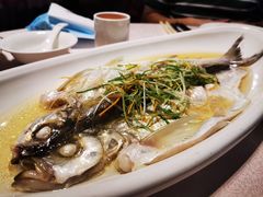 -天福苑(崇宁路店)