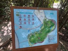 -野狸岛