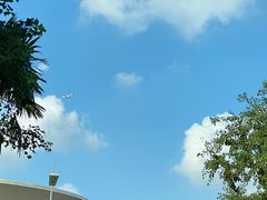 -春花秋色城市公园