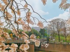 -红星桥(地铁站)