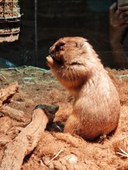 -Zoolung Zoolung动物主题公园(海信广场店)