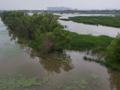 -滨州铁路桥