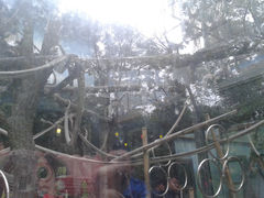 景点-北京动物园
