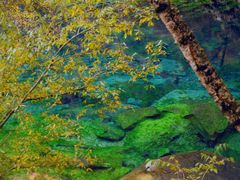 -叠溪松坪沟景区