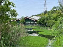 -西湖风景区-江洋畈生态公园