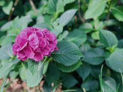 -常州古运河南大街文化旅游区-人民公园