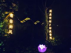 -印象普陀