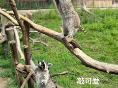 -齐齐哈尔龙沙动植物园