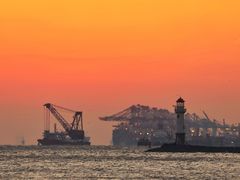 -上海吴淞炮台湾国家湿地公园