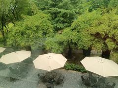 -上海财经大学(国定路校区)