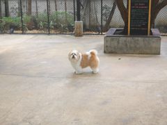 -TrueLove @ Neverland (Husky Cafe)
