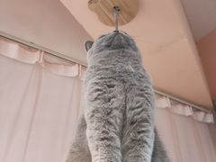 -极木²邸 人与宠物·互动社区