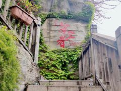 -巴倒烫陆派重庆火锅(南山店)
