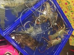 iphone_upload_pic-班赞海鲜市场