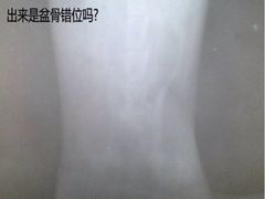 iphone_upload_pic-荔康动物医院(康王北路店)