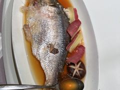 酒香蒸鲥鱼-黛瓦里巷(南京东路店)