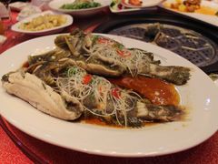 -海岛渔村大酒店(云霄路店)