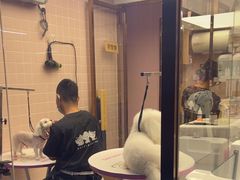-FAELING PETS美天灵宠物(富力广场店)