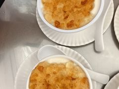 桃胶双皮炖奶-义顺牛奶公司(新马路老店)