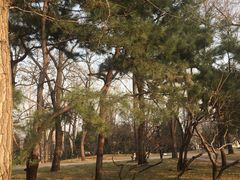 -玲珑塔公园