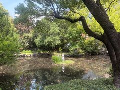 -复旦大学附属华山医院(总院)