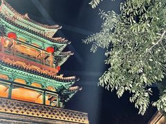 -微山湖红荷湿地景区