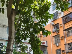 -喜柿咖啡SeeS coffee