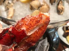 -北京望京凯悦酒店The Lounge大堂酒廊