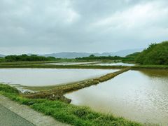 -良渚古城遗址公园