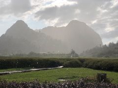 -靖西鹅泉风景区