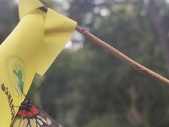 -广州白江湖森林公园