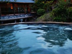 -深业半汤御泉庄温泉