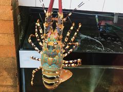 黄油焗龙虾-越海渔村