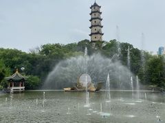 -江心屿景区
