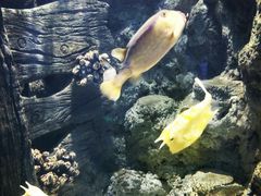 -福州罗源湾海洋世界旅游区