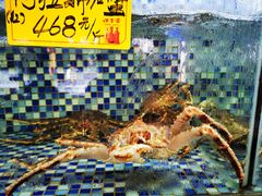 -顺德了能馆(虎门店)