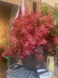 -RUMI日弥美容会所