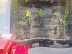 -一只烧鸡公(解放碑店)