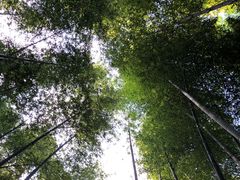 -天目湖涵田半山温泉