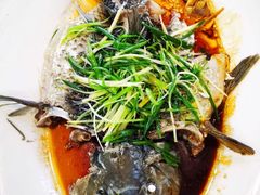 -顺德美食坊(南沙分店)