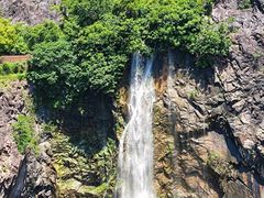 -上海辰山植物园
