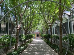 -南宫五洲植物乐园