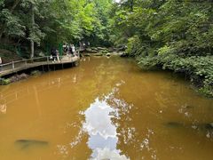 -茅兰沟国家森林公园