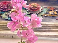 -深圳国际园林花卉博览园