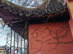 -南京大牌档(新街口德基广场店)