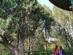 景点-景山公园