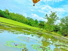 -中国科学院西双版纳热带植物园