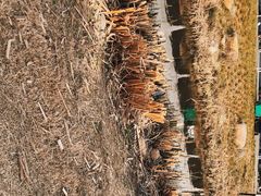 -佛手湖郊野公园