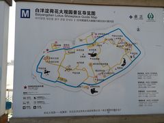 -白洋淀景区