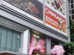 -帕帕拉兹宠物(亚洲旗舰店)